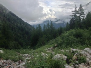 IMG_4512