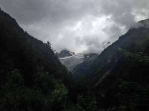IMG_4521