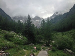 IMG_4522