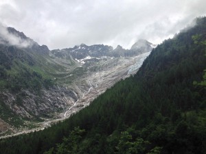 IMG_4524