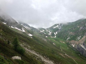 IMG_4528