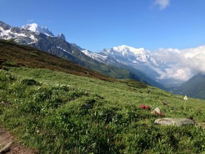 IMG_4531