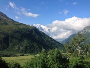 IMG_4534