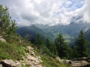 IMG_4540