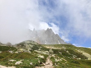 IMG_4553
