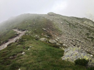 IMG_4559