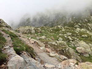 IMG_4562