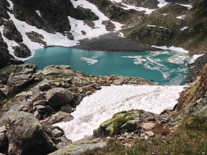 IMG_4569