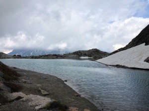 IMG_4571