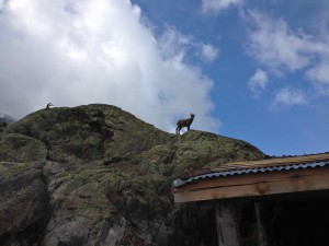 IMG_4572