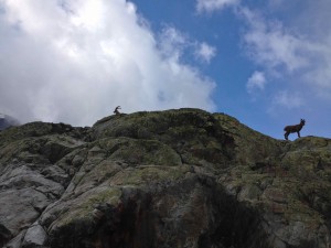 IMG_4573