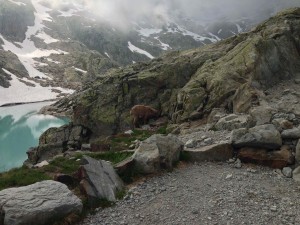 IMG_4579