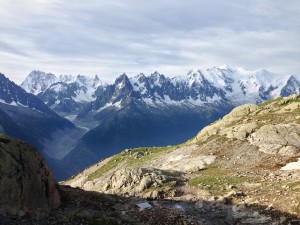 IMG_4593