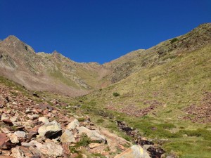 IMG_2861