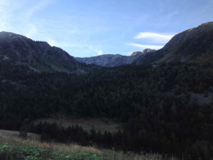 IMG_2977