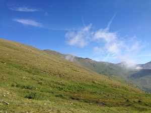 IMG_2406