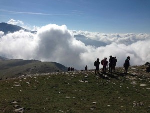 IMG_2407