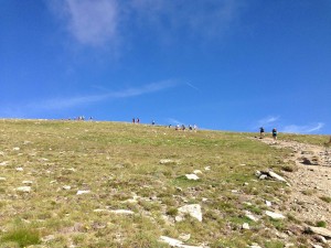 IMG_2409