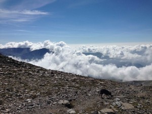 IMG_2412