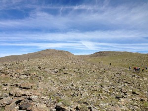 IMG_2414