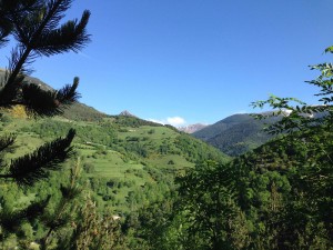 IMG_1924