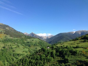 IMG_1925