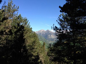 IMG_1927
