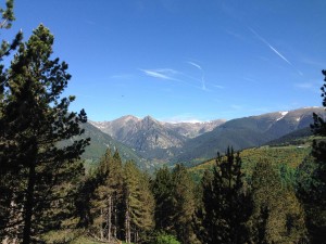 IMG_1928