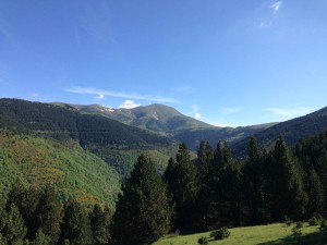 IMG_1929