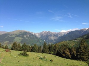 IMG_1930