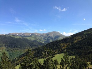 IMG_1931