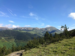 IMG_1932