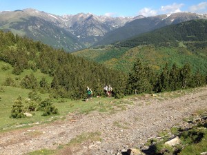 IMG_1933