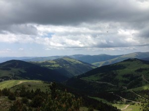 IMG_1935