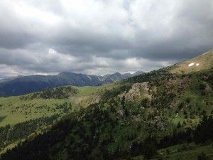 IMG_1936