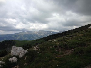 IMG_1938