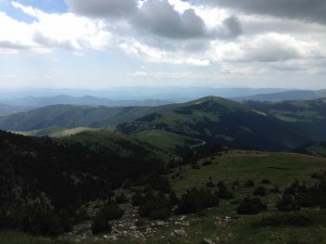 IMG_1939