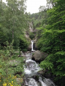 IMG_1941