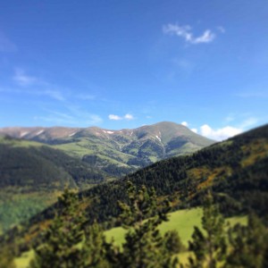 IMG_1942