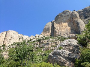IMG_2056